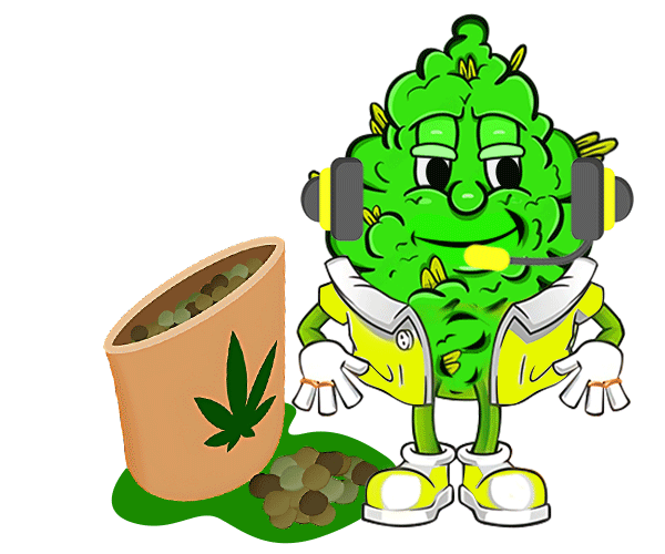 BC Bud Deport Live Chat