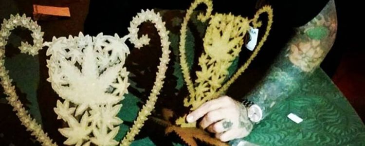 Read more about the article BCBD Wins 1st Place Indica at 2015 Bio Cannabis Cup!