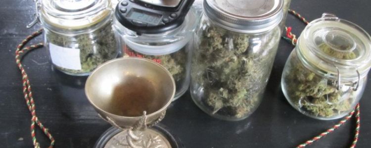 Read more about the article BC Bud Depot at 2012 Treating Yourself Medical Marijuana Cup!