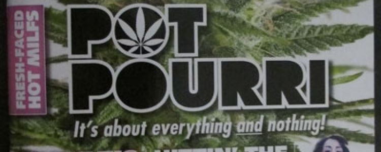 Read more about the article BC Bud Depot in the Media!