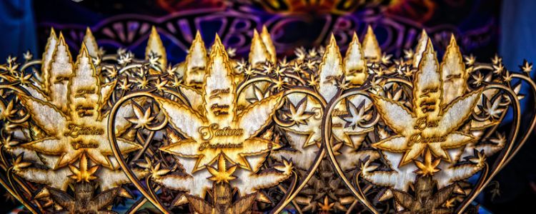 Read more about the article BCBD Hosts Bio Cup Canada & Legends Valley Music Festival!