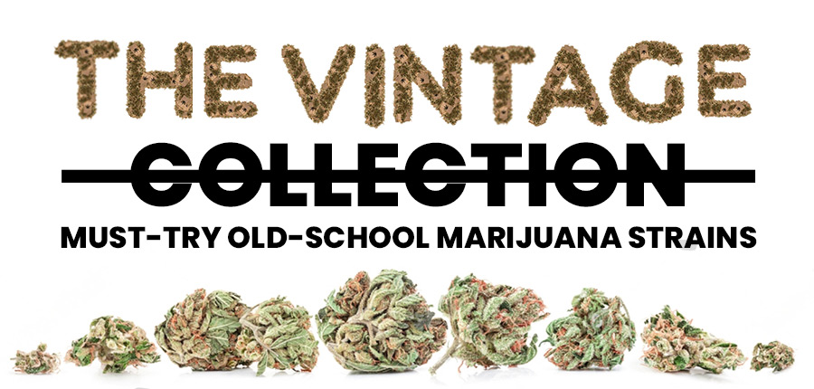 Old-School Marijuana Strains