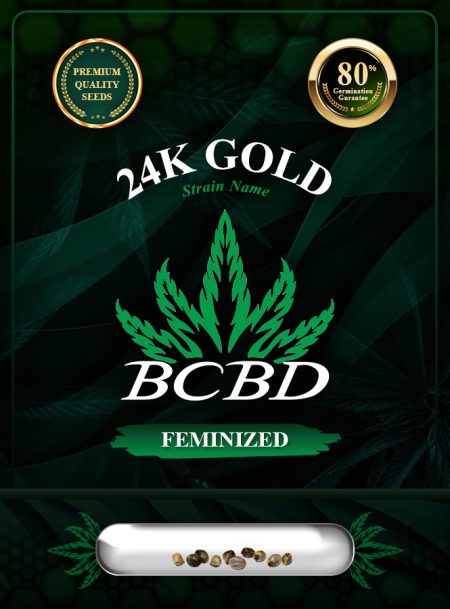 24k Gold Strain Feminized Marijuana Seeds