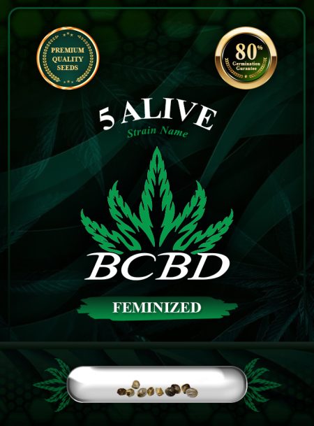 5 Alive Strain Feminized