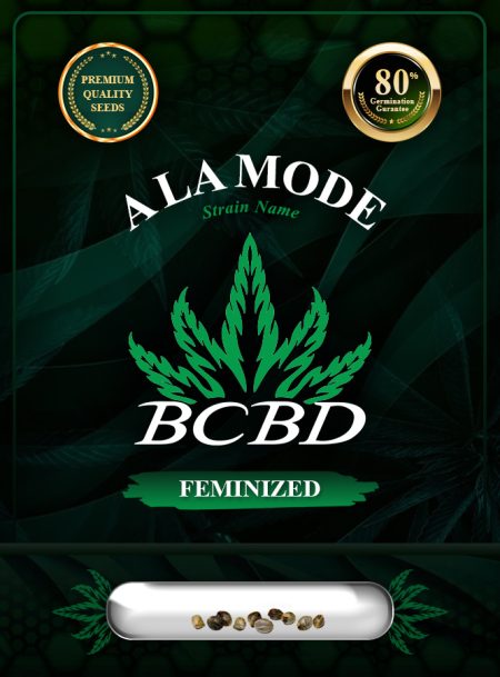 A La Mode Strain Feminized