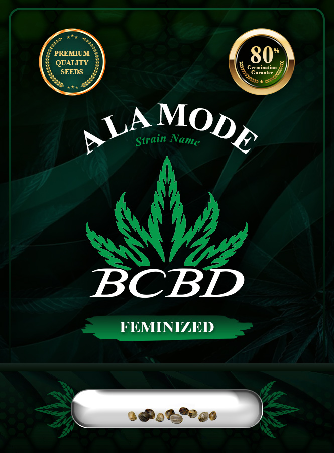 A La Mode Strain Feminized Marijuana Seeds