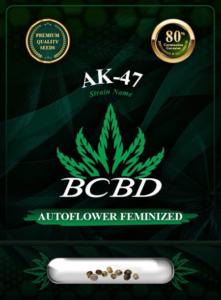 AK-47 Strain Autoflowering