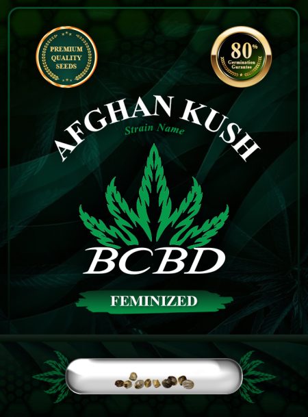 Afghan Kush Feminized
