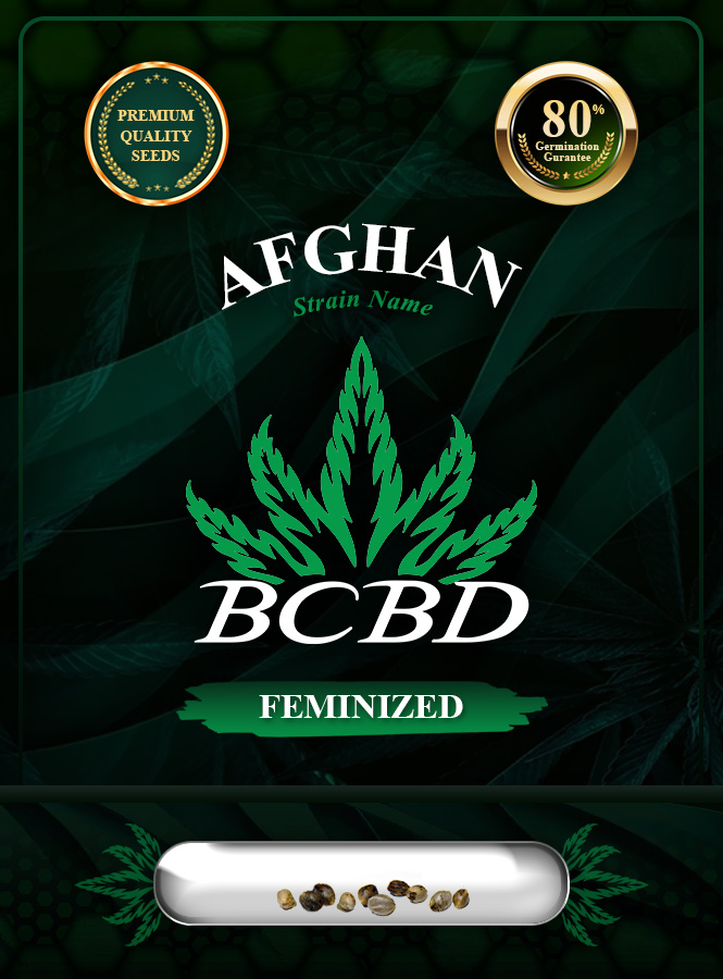 Afghan Strain Feminized Marijuana Seeds