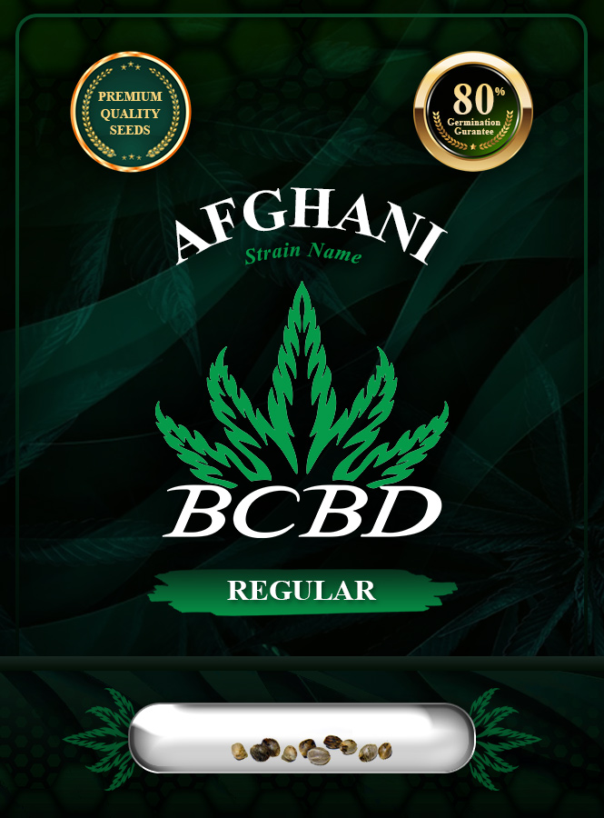 Afghani Strain Regular Marijuana Seeds