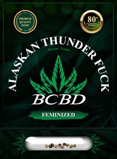 Alaskan Thunder Fuck Strain Feminized