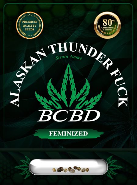 Alaskan Thunder Fuck Strain Feminized
