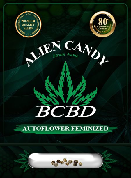 Alien Candy Strain Autoflowering