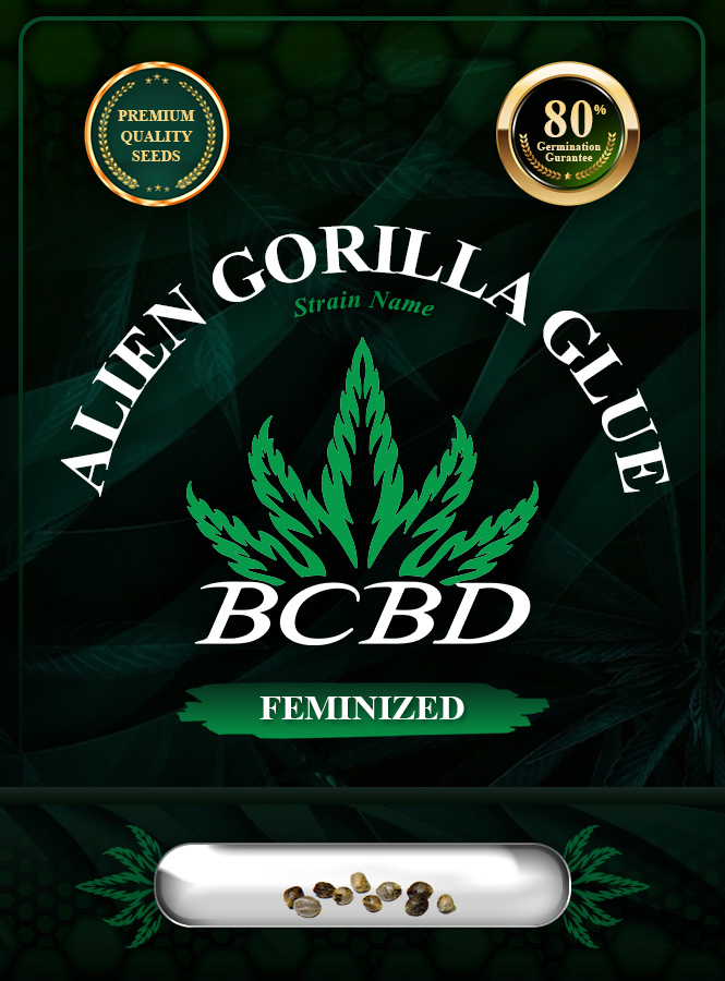 Alien Gorilla Glue Strain Feminized Marijuana Seeds