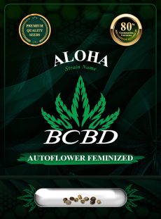 Aloha Strain Autoflowering