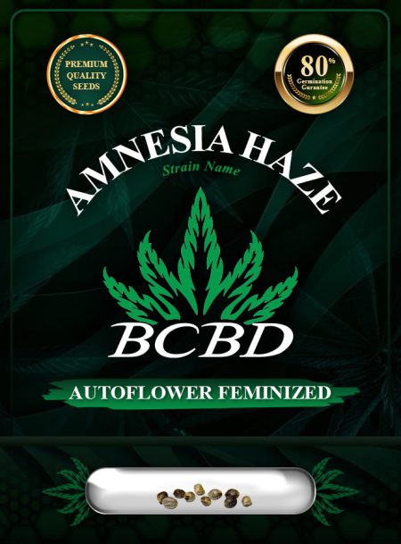 Amnesia Haze Autoflower