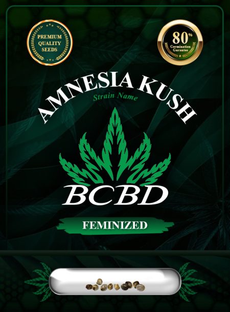 Amnesia Kush Feminized