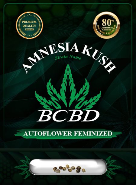 Amnesia Kush Autoflower