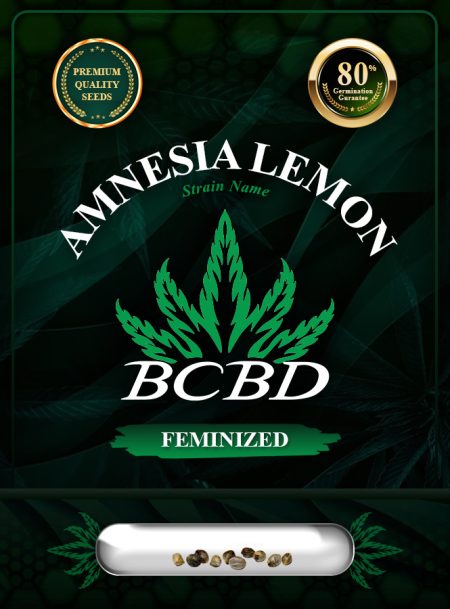 Amnesia Lemon Strain Feminized