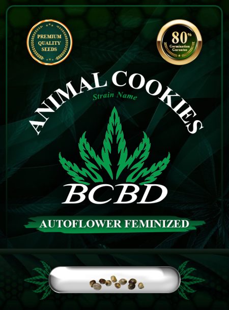 Animal Cookies Strain Autoflower