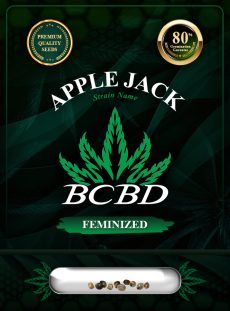 Apple Jack Strain Feminized