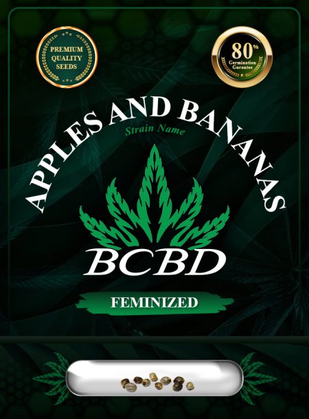 Apples and Bananas Strain Feminized