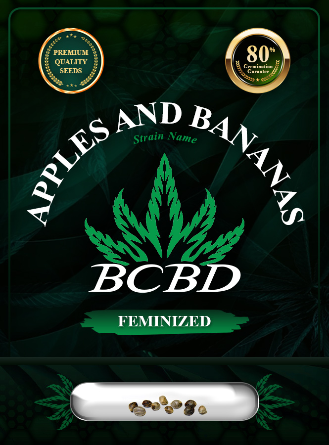 Apples and Bananas Strain Feminized Marijuana Seeds