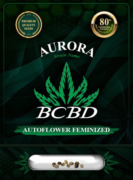 Aurora Strain Autoflowering