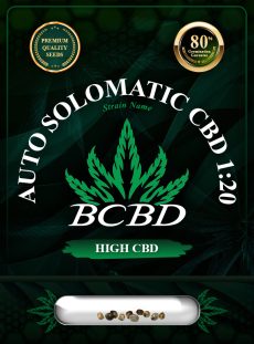 Auto Solomatic CBD (1:20) Strain