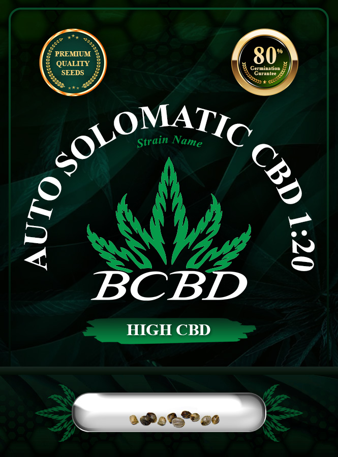 Auto Solomatic CBD (1:20) Strain Marijuana Seeds