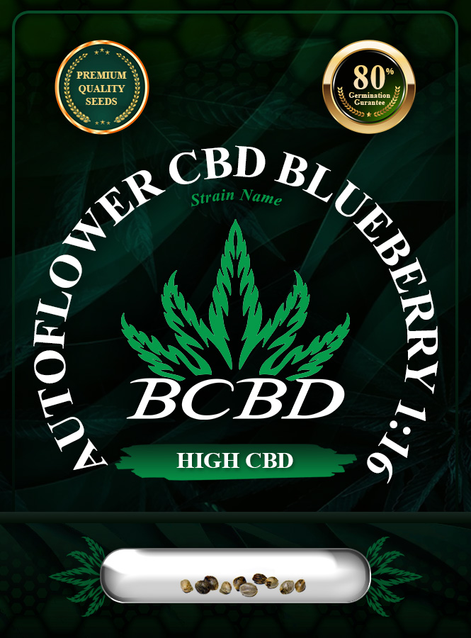 Auto CBD Blueberry (1:16) Strain Marijuana Seeds