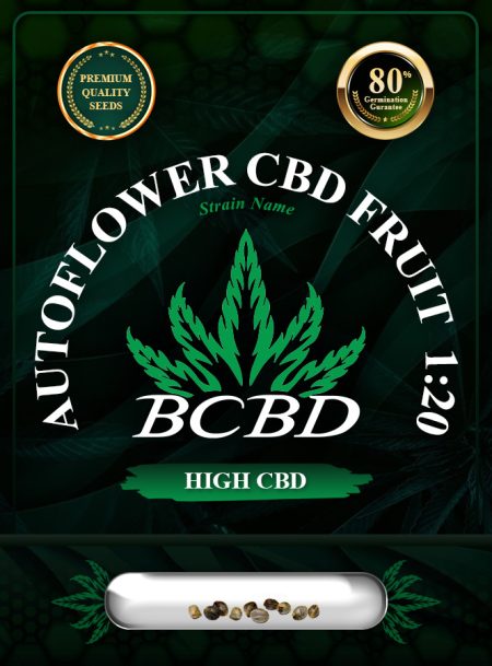 Auto CBD Fruit Strain