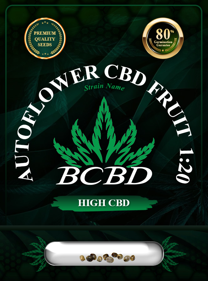 Auto CBD Fruit (1:20) Strain Marijuana Seeds