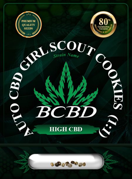 Auto CBD Girl Scout Cookies (1:1) Strain