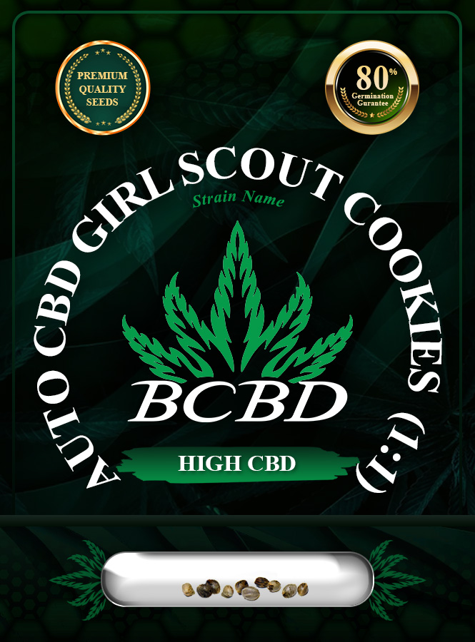 Auto CBD Girl Scout Cookies (1:1) Strain Marijuana Seeds