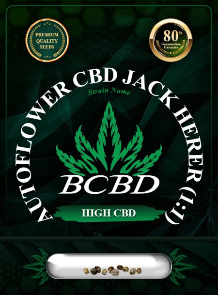 Auto CBD Jack Herer (1:1) Strain