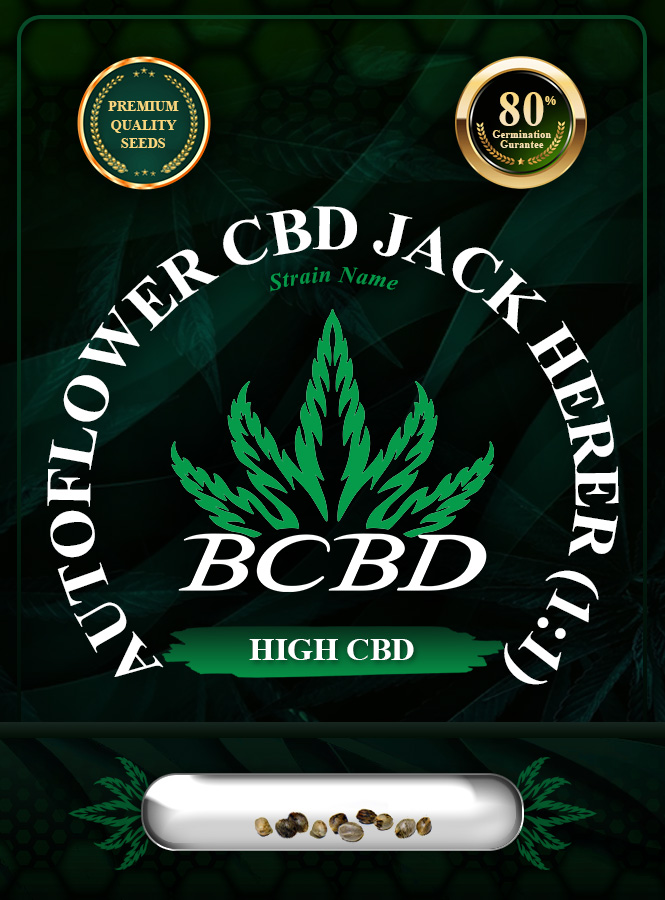Auto CBD Jack Herer (1:1) Strain Marijuana Seeds