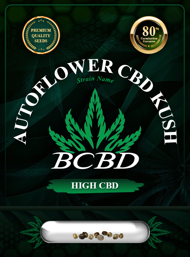 Autoflower CBD Kush Marijuana Seeds