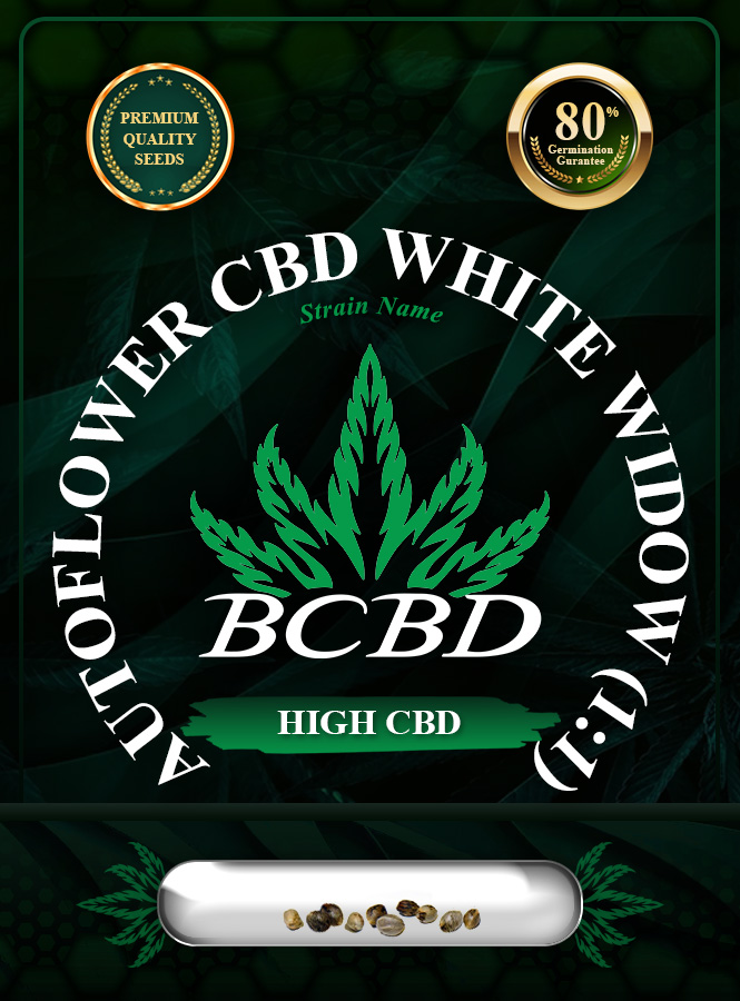 Auto CBD White Widow Strain Marijuana Seeds