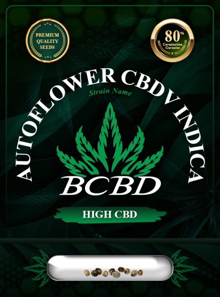 Auto CBDV Indica Strain
