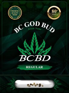 BC God Bud Strain Regular