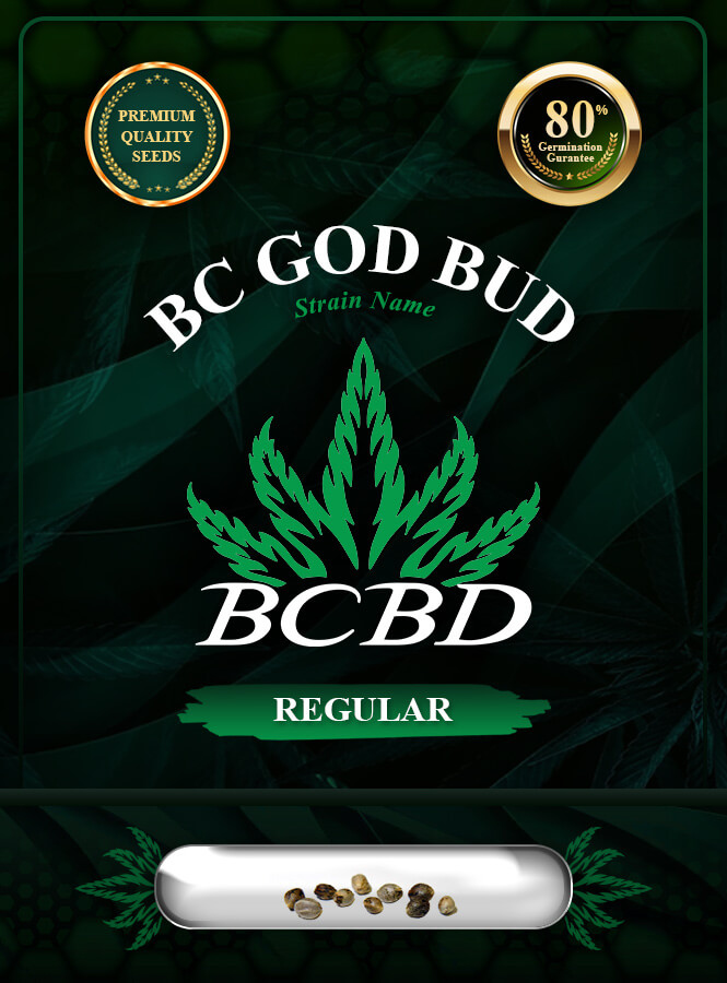 BC God Bud Strain Regular Marijuana Seeds