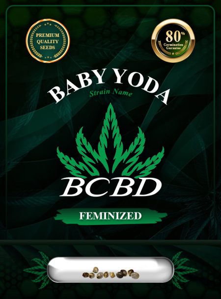 Baby Yoda Strain Feminized