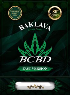 Baklava Strain Fast Version