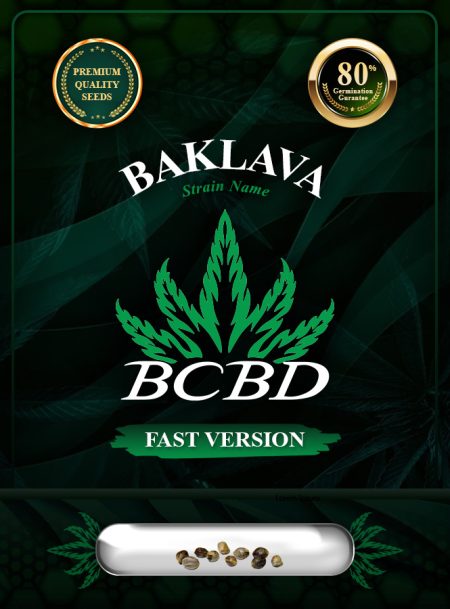 Baklava Strain Fast Version