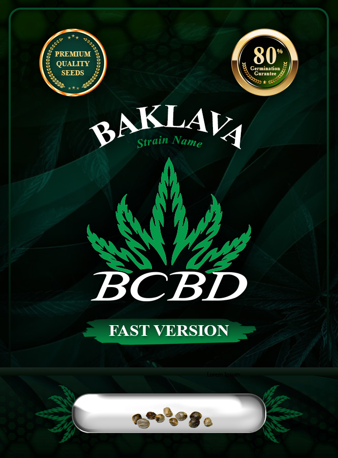 Baklava Strain Fast Version Marijuana Seeds