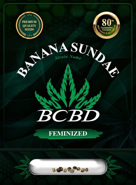 Banana Sundae Strain Feminized