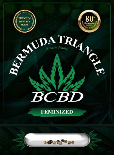 Bermuda Triangle Strain Feminized