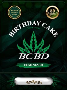 Birthday Cake Strain Feminized