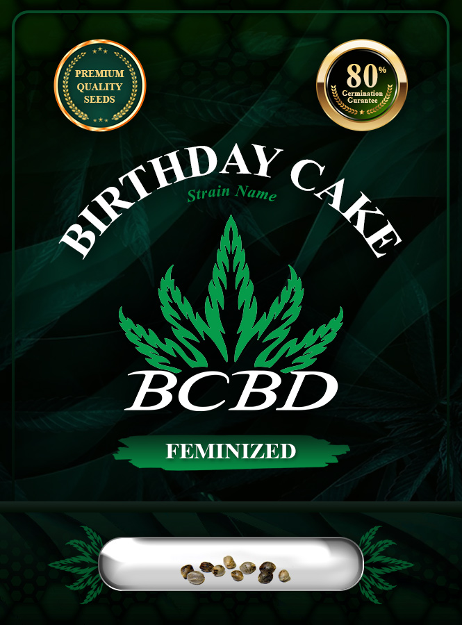 Birthday Cake Strain Feminized Marijuana Seeds